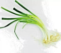 Organic Onion Chive Seeds - 50 Non-GMO Herb Seeds for Culinary Garden - Allium schoenoprasum Perennial Edible Plant