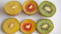 Organic Kiwi Fruit Seeds Pack - Golden, Yellow, Red & Green Varieties - Actinidia deliciosa Non-GMO Seeds