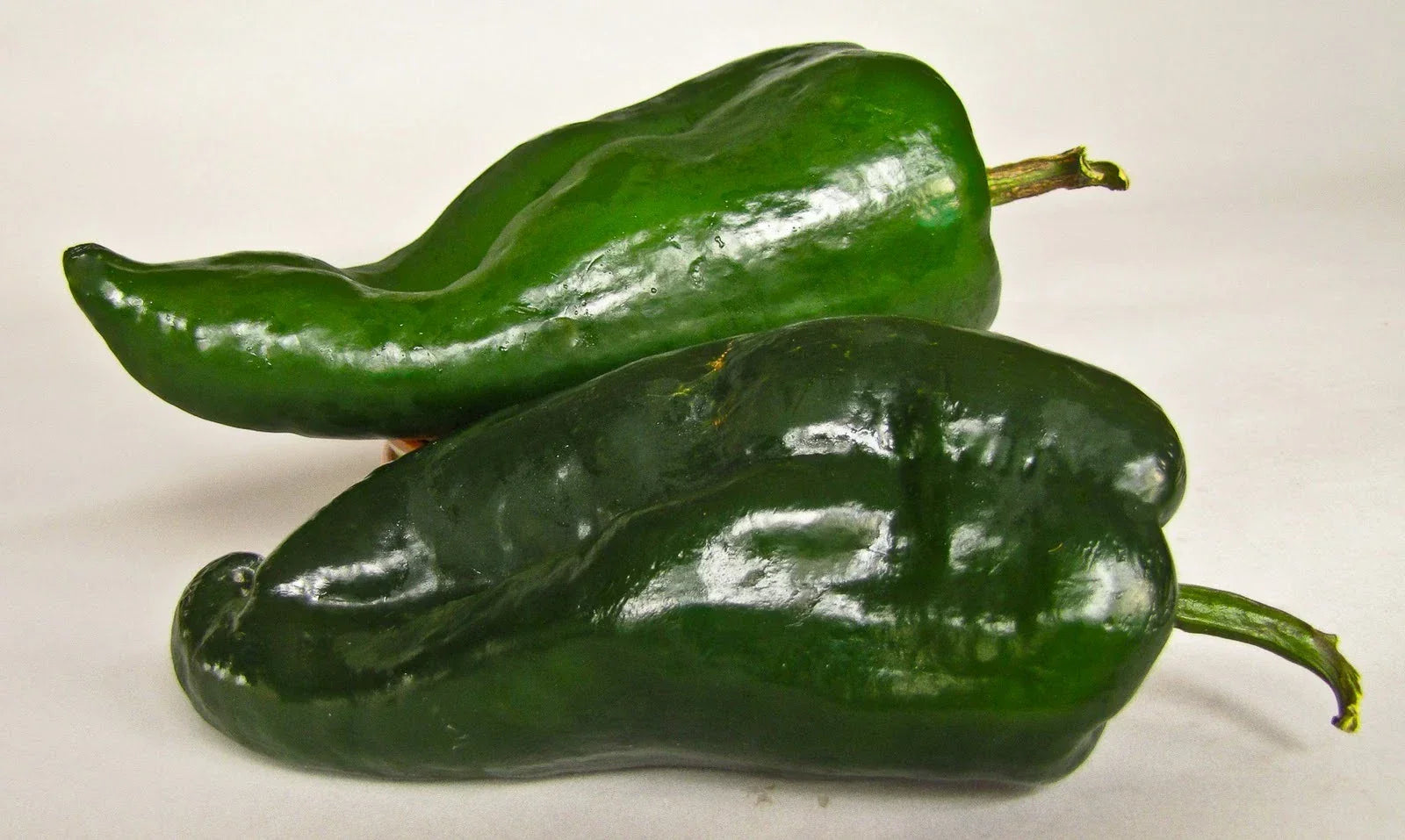 Poblano Chili Pepper Seeds – Mild Flavor for Chili Relleno – Capsicum annuum – 12 Seeds Packet