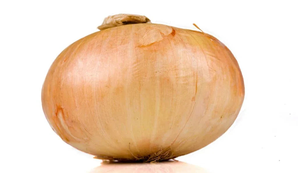 Vidalia Onion Seeds - 500+ Count, Sweet Allium cepa, Garden Planting, Bulb-Forming, Non-GMO, Full Sun, Easy Grow