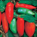 Sausage Tomato Seeds - Heirloom Lycopersicon esculentum for Garden, Fresh, Non-GMO, Indeterminate, Pack of 25 Seeds