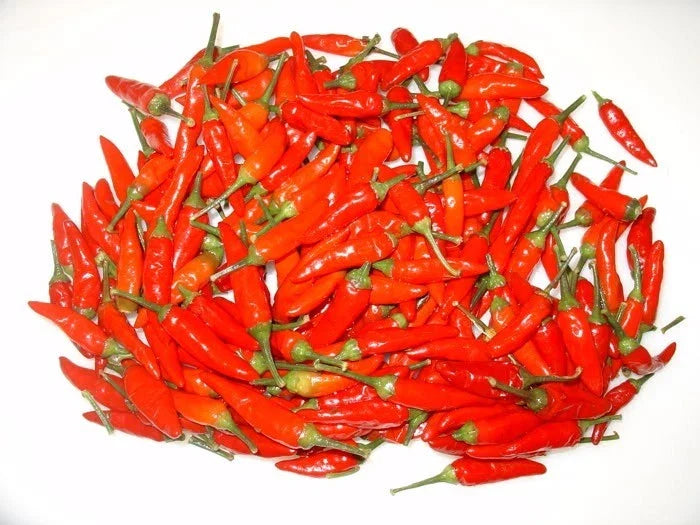 Tabasco Pepper Seeds - Hot Variety for Pepper Sauce, Capsicum frutescens, Prolific Container Gardening, Spicy Culinary Herb