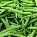 Kentucky Wonder Pole Bean Seeds – Heirloom Non-GMO Vegetable Seeds for Organic Garden, Climbing Vine, Phaseolus vulgaris