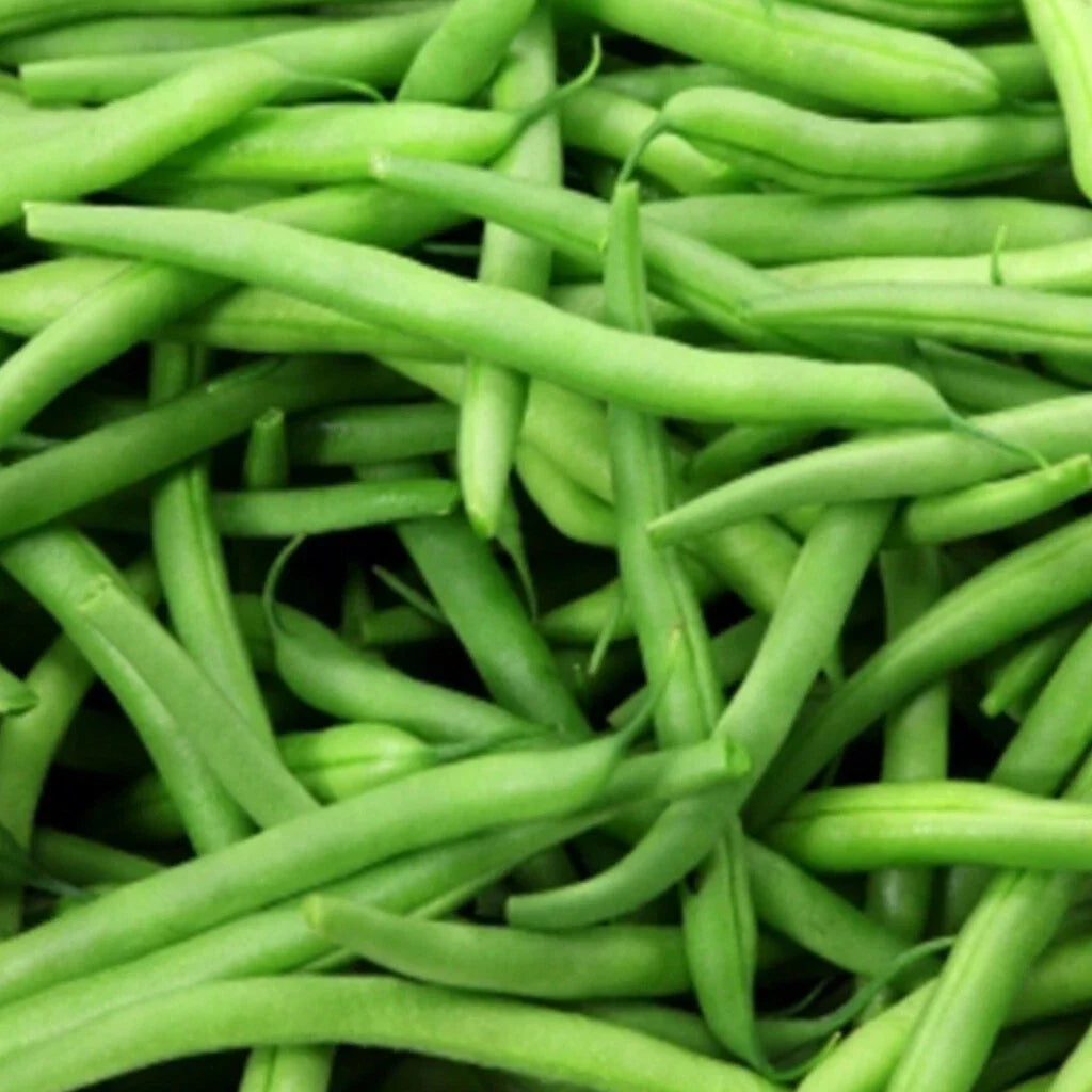Kentucky Wonder Pole Bean Seeds – Heirloom Non-GMO Vegetable Seeds for Organic Garden, Climbing Vine, Phaseolus vulgaris