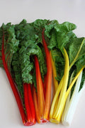 Swiss Chard Seeds Orange Fantasia - Bright Orange Stems - 50 Seeds - Beta vulgaris var. cicla