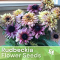 Rudbeckia Seeds - Vintage Mix - Black-Eyed Susan - Annual Flower Seeds for Garden, Borders, and Containers