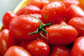 Crovarese Italian Grape Tomato Seeds - Non-GMO, Heirloom, Solanum lycopersicum, Compact Growth, 30 Seeds