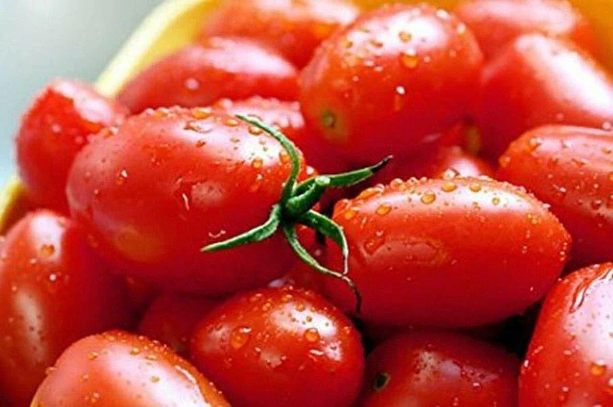 Crovarese Italian Grape Tomato Seeds - Non-GMO, Heirloom, Solanum lycopersicum, Compact Growth, 30 Seeds