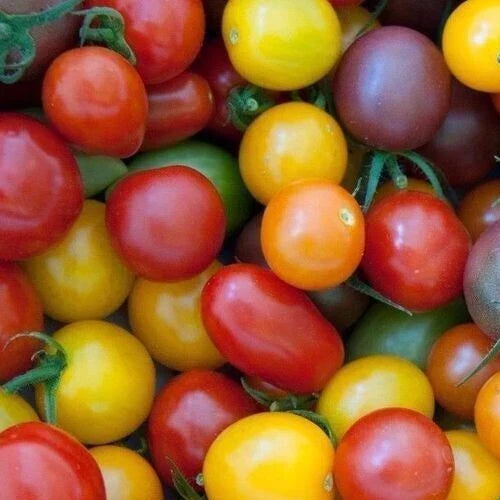 Rainbow Cherry Tomato Seeds Mix – 100+ Heirloom Seeds for Colorful Garden, Solanum lycopersicum, Perfect for Containers & Salads