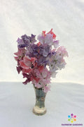 Sweet Pea Seeds Striped Mixture - Lathyrus odoratus - Garden Climbing Vine, Fragrant Blooms, 50+ Seeds