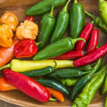 Hot and Happy Pepper Mix Seeds - Heirloom Variety, 100+ Seeds, Capsicum spp., Culinary & Garden Use