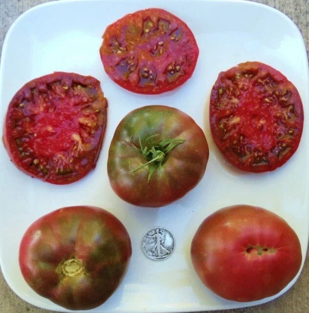 Black Krim Tomato Seeds - Heirloom Purple Variety, Solanum lycopersicum, 25 Seeds for Organic Gardening, Heirloom, Indeterminate