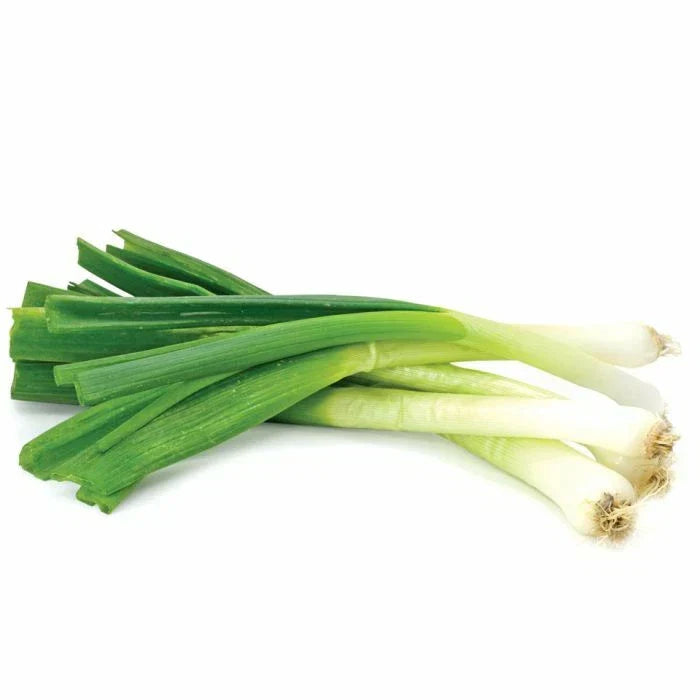 Toky Long White Bunching Onion Seeds Allium fistulosum Vegetable Garden Seeds for Fresh Onions