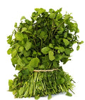 Watercress Seeds - 500+ Nasturtium officinale Microgreen Seeds for Indoor & Outdoor Gardening, Superfood, Non-GMO