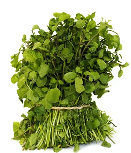 Watercress Seeds - 500+ Nasturtium officinale Microgreen Seeds for Indoor & Outdoor Gardening, Superfood, Non-GMO