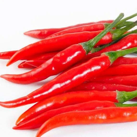 Cayenne Long Slim Pepper Seeds – Fresh Capsicum annuum for Home Gardening, Spicy Peppers, Non-GMO Seed Packet