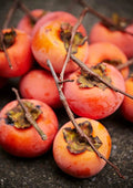 Persimmon Tree Seeds - 50 Seeds - Outdoor Diospyros virginiana - Drought Tolerant, Full Sun, USDA Zones 4-9