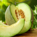 Rocky Ford Green Cantaloupe Seeds – Heirloom Cucumis melo for 2025 Planting, Open-Pollinated, Juicy Green-Fleshed Melon, Pack of 20