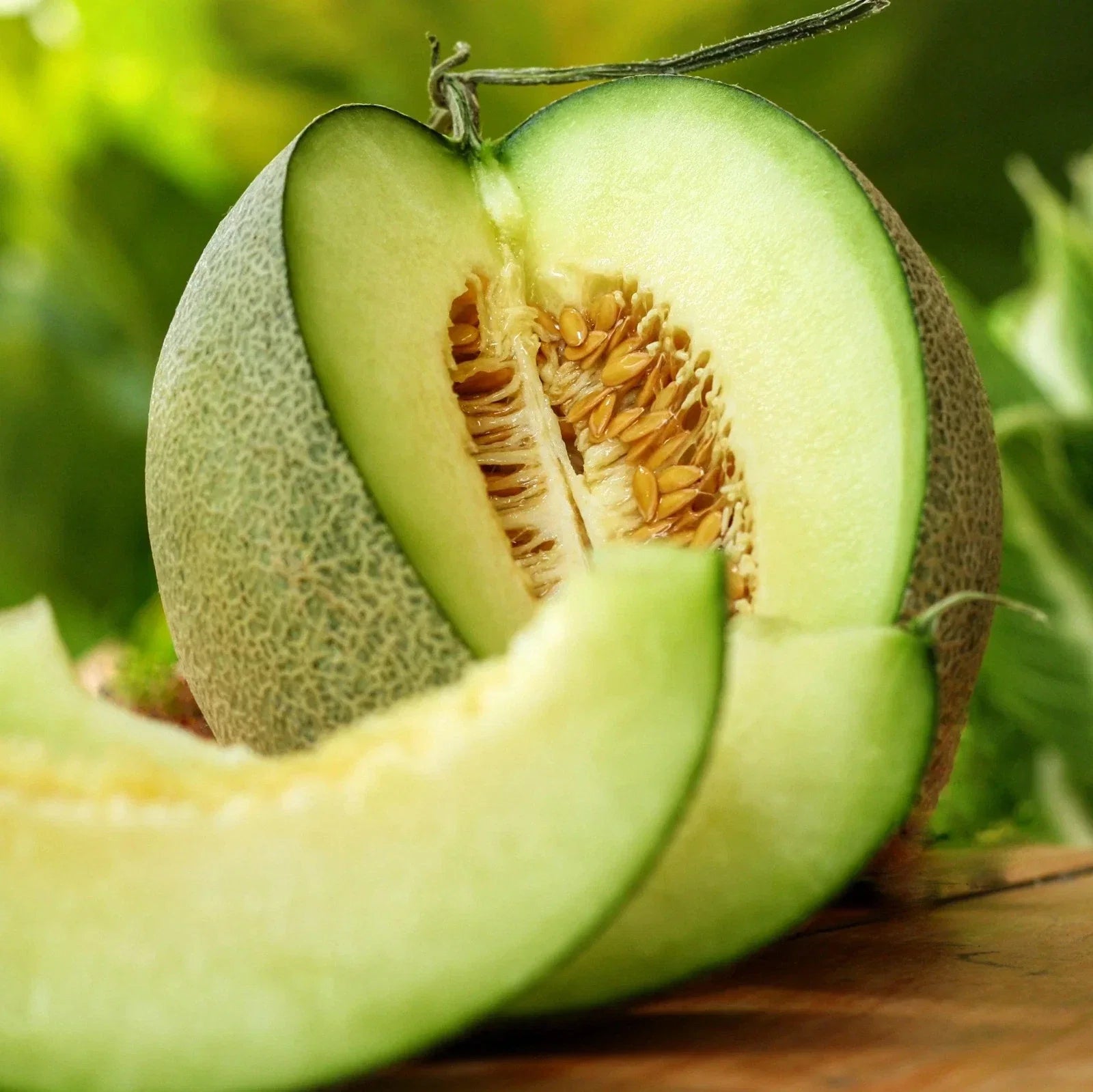 Rocky Ford Green Cantaloupe Seeds – Heirloom Cucumis melo for 2025 Planting, Open-Pollinated, Juicy Green-Fleshed Melon, Pack of 20