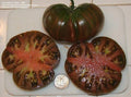 Black From Tula Tomato Seeds – Heirloom Non-GMO Solanum lycopersicum, Dark Purple/Black Fruit, 30+ Seeds