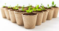 3 Inch Biodegradable Starter Pots - 50 Pack Eco-Friendly Planting Containers for Seedlings and Young Plants