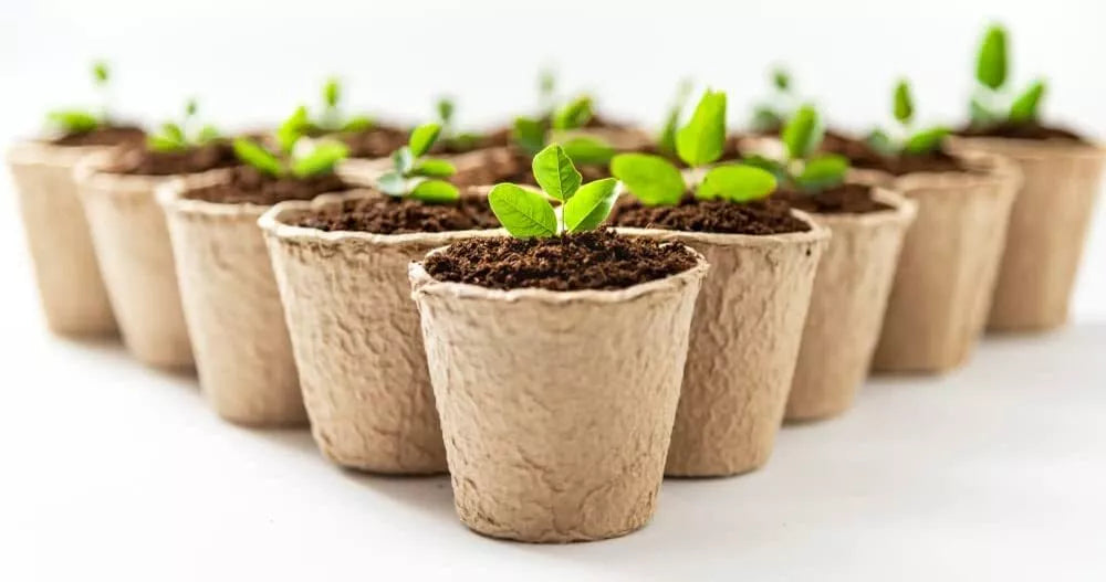 3 Inch Biodegradable Starter Pots - 50 Pack Eco-Friendly Planting Containers for Seedlings and Young Plants