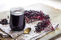 Fresh Elderberry Cuttings 5 Pack Black Berries Sambucus nigra for Garden Propagation