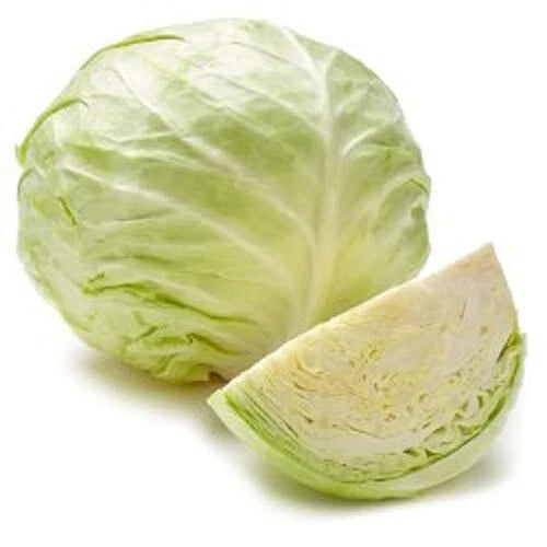 Early Golden Acre Cabbage Seeds Pack – Brassica oleracea, White Center, High Germination, 200+ Seeds for Spring & Fall Planting