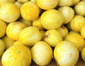 Lemon Cucumber Seeds - 40 Non-GMO Cucumis sativus Heirloom for Home Gardening, Vining, Full Sun