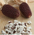 Red Strawberry Popcorn Seeds - 20+ Zea mays Heirloom, Non-GMO, Vibrant Red Kernels for Garden & Decoration