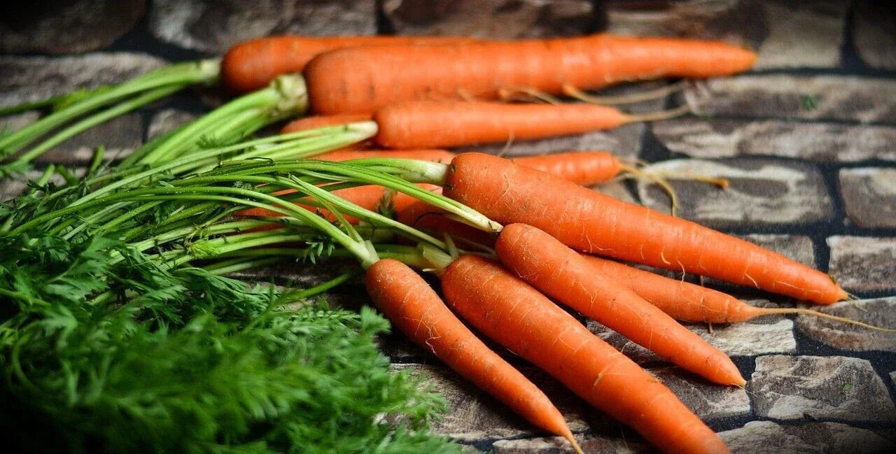 Gourmet Carrot Seeds - Tendersweet Heirloom Variety for Home Garden, Organic Daucus carota, Pack of 200 Seeds