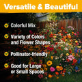 Wildflower Seeds Bulk Mix 2oz - 19 Native Varieties for Pollinator Gardens, Eco-Friendly, Wildflower Meadow Seeds