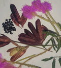 Organic Sensitive Plant Seeds Pack – Mimosa Pudica, Touch-Me-Not, Shy Plant, Easy to Grow, 30+ Non-GMO Seeds