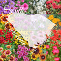 Wildflower Seed Mix 1/4lb Bulk South Carolina Native Flowers for Garden Covering 2000 sq ft