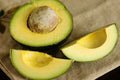 Rare Cleopatra Avocado Cuttings - 3 Wax-Dipped Scions, Persea americana 'Cleopatra' for Container Gardening