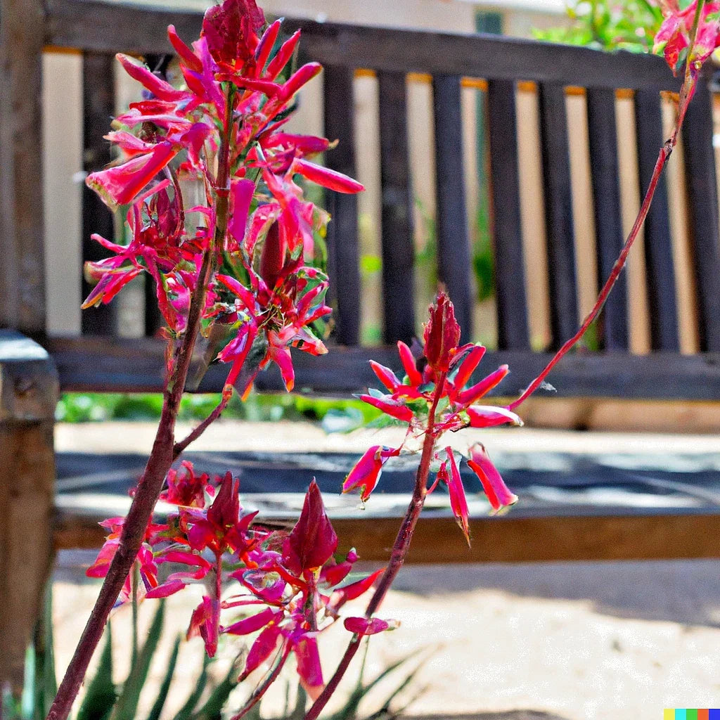 Red Yucca Seeds - 20+ Hesperaloe parviflora for Hummingbird & Butterfly Garden, Drought-Tolerant, Perennial, Full Sun