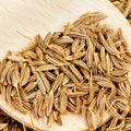 Cumin Herb Seeds, Organic Non-GMO, Heirloom Cuminum cyminum, Culinary Spice, Easy to Grow, Garden or Container Planting