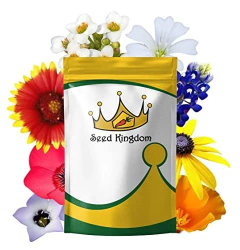 Wildflower Mix Seeds 1/4 Lb Non-GMO Annual 21 Varieties Approx. 140,000 Seeds for Pollinators