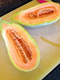 Banana Melon Seeds - Heirloom Fruit Vine for Summer Garden - Cucumis melo - Easy to Grow, 31+ Seeds