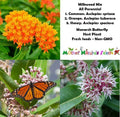 Perennial Milkweed Seeds Mix - Orange Asclepias tuberosa - Monarch Butterfly Host Plant - Non-GMO, 100 Seeds