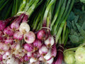 Scarlet Bandit Bunching Onion Seeds - Red Allium fistulosum - Heirloom Vegetable Seeds for Container Gardening