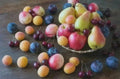 Assorted Fruit Cuttings Pack - 50+ Varieties for Home Gardens & Orchards - Apples, Pears, Cherries - Deciduous Fruit Trees