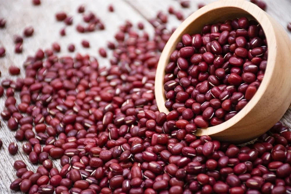 Adzuki Soybean Seeds - 100 Red Bean Seeds for Planting - Vigna angularis - Bush Growth, Nutritious, Full Sun, Low Maintenance