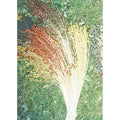 Multicolor Broom Corn Seeds, Non-GMO Heirloom, Zea mays subsp. mays, Decorative Seed Heads, Tall Annual Plant, 50 Pack