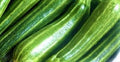 Cocozelle Zucchini Seeds 30 Non-GMO Heirloom Cucurbita pepo for Home Garden, Container Growing