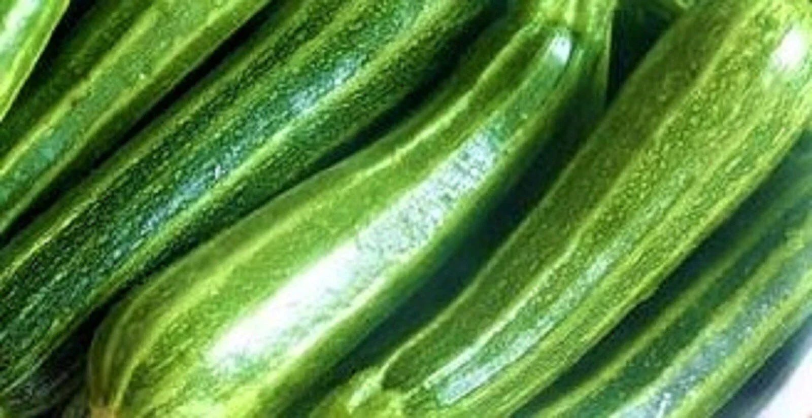 Cocozelle Zucchini Seeds 30 Non-GMO Heirloom Cucurbita pepo for Home Garden, Container Growing