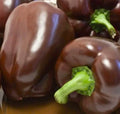Sweet Chocolate Bell Pepper Seeds – Non-GMO, Heirloom, Capsicum annuum, 50+ Seeds for Home Gardening