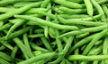 Blue Lake Pole Bean Seeds – Non-GMO, Green Beans for Gardening, Phaseolus vulgaris, Climbing Vine, Pack of Seeds