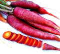 Purple Dragon Carrot Seeds - Non-GMO Heirloom Variety, Daucus carota, Pack of 200+ Seeds for Home Garden and Container Growing