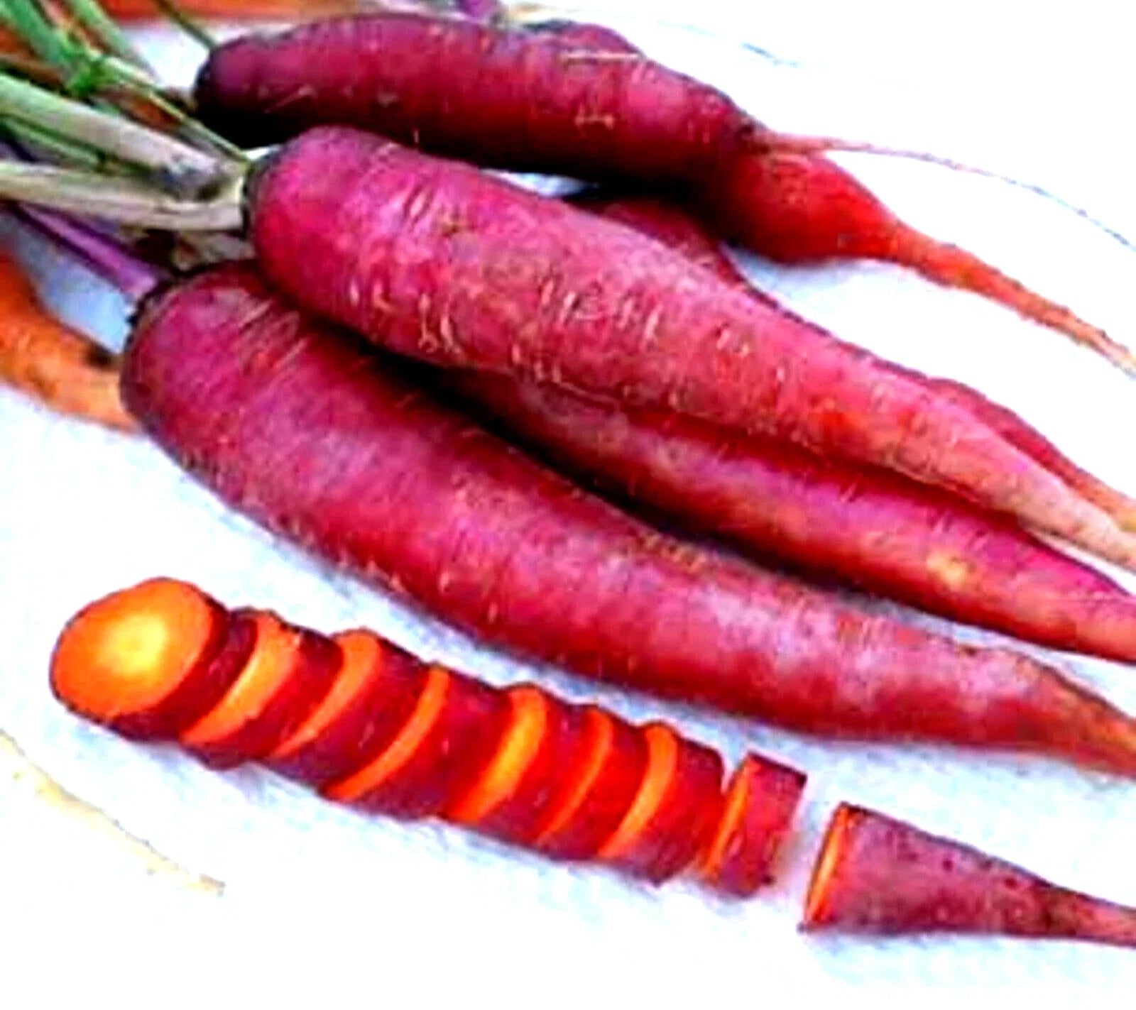 Purple Dragon Carrot Seeds - Non-GMO Heirloom Variety, Daucus carota, Pack of 200+ Seeds for Home Garden and Container Growing